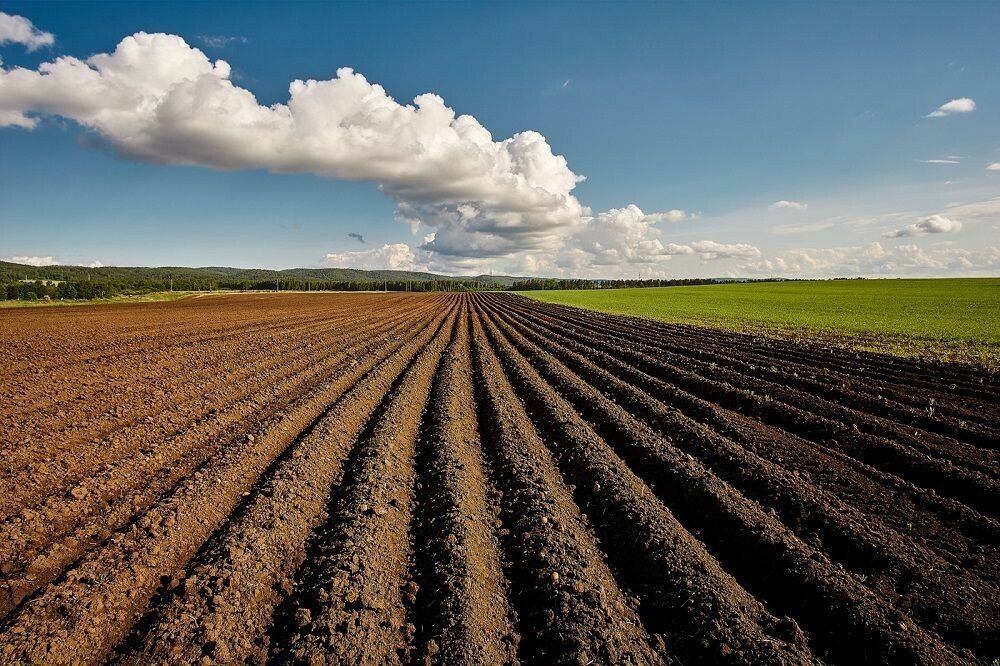 Обновлены правила проведения рекультивации и консервации земель