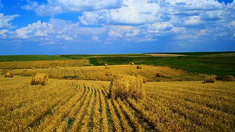 Земли сельскохозяйственного назначения: правовое регулирование и размещение объектов